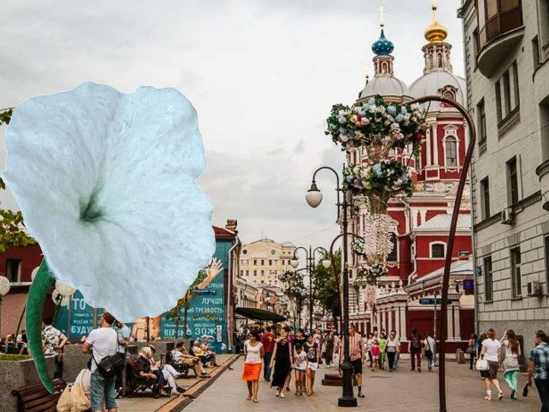 Тайны Замоскворечья: следы старой Москвы (экскурсия + мастер-класс) - экскурсия в Москва, Россия