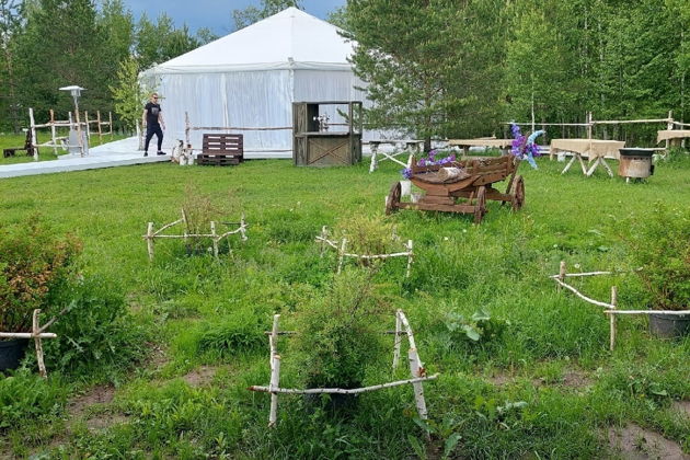 Башкирский мёд и кочевые цивилизации