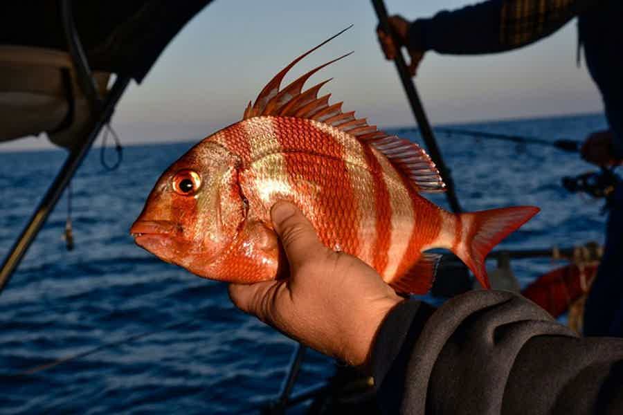 Рыбалка и морская прогулка в Красном море - фото 2