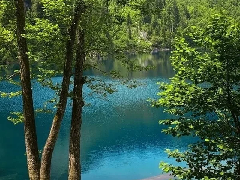 Гегский водопад, озёра Большая и Малая Рица — фото 6, Новый Афон | Покатаем