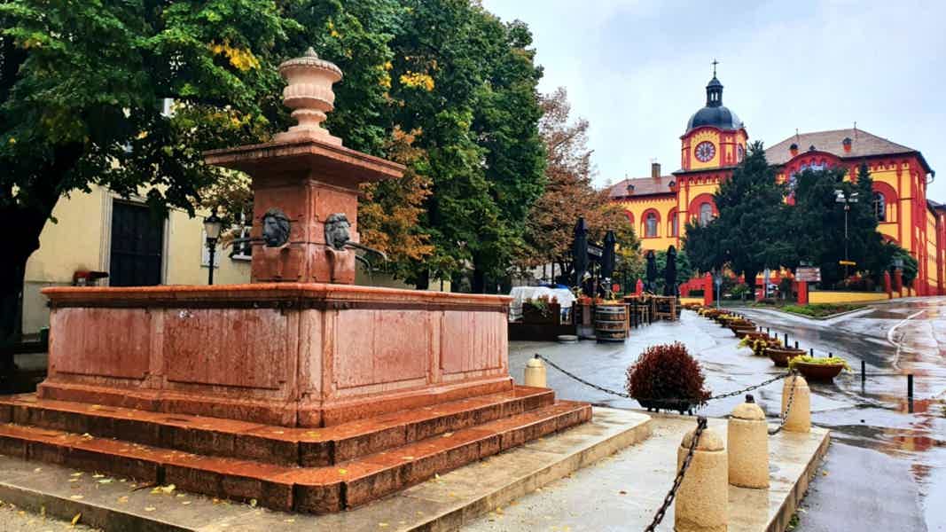 Однодневная экскурсия: Нови-Сад и Карловцы из Белграда - фото 4
