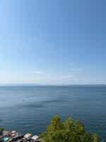 Экскурсия "Морское приключение, морские котики и морепродукты во Владивостоке" - фото отзыва 5