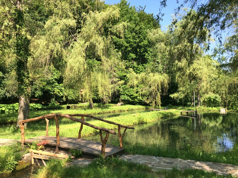 Заповедная природа. Поездка в национальный парк «Крымский» — фото 4, Ялта | Покатаем
