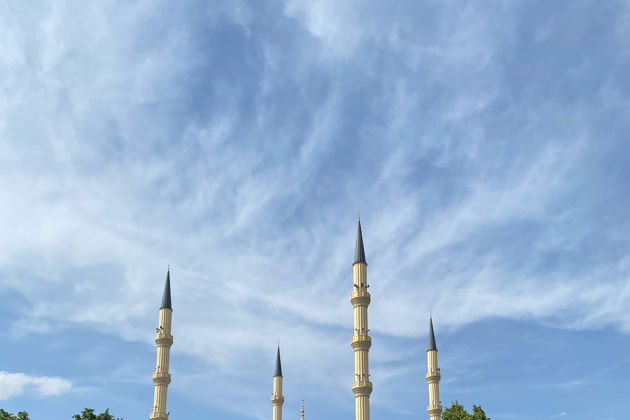 Виды С равнины — в горы Чечни