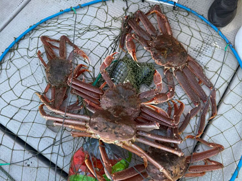 Морская и глубоководная «Трофейная» рыбалка, крабовое сафари в Тихом океане — фото 3, Петропавловск-Камчатский | Покатаем