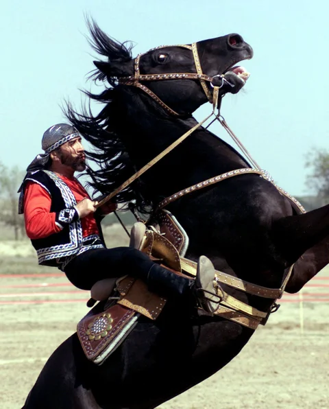 Традиции и обычаи казахов с конным шоу 