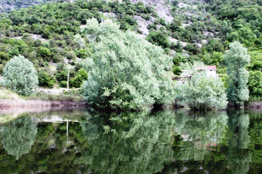 Рыбалка на Скадарском озере - фото 2