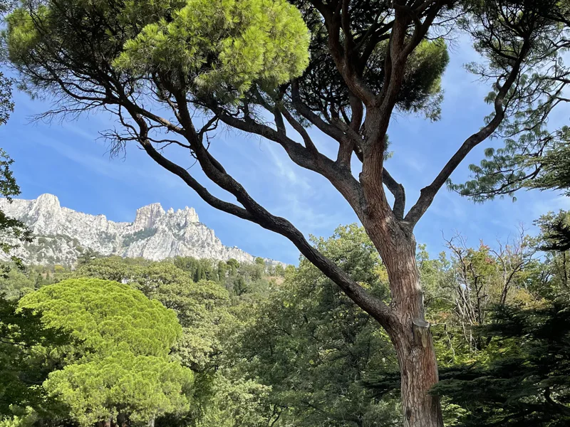Ялта — царица Крыма: красота сквозь века (из Алупки) — фото 4, Алупка | Покатаем