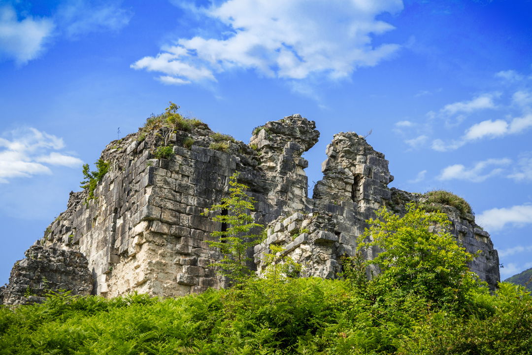 Рица своими глазами — фото 6