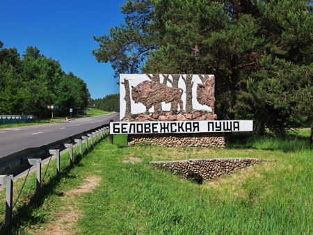 Музей природы Беловежской пущи