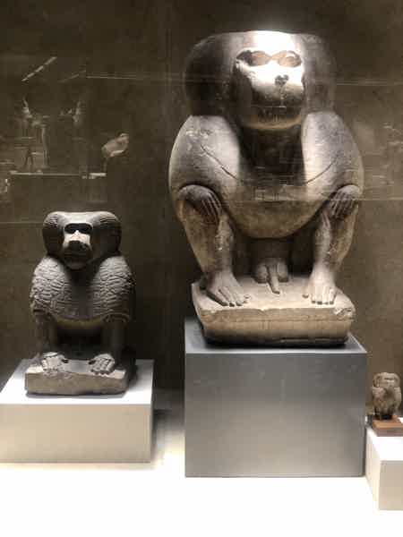 Шарм-эль-Шейх: Международный музей древностей и старый город с египтологом  - фото 3
