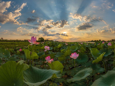 Астраханский биосферный заповедник