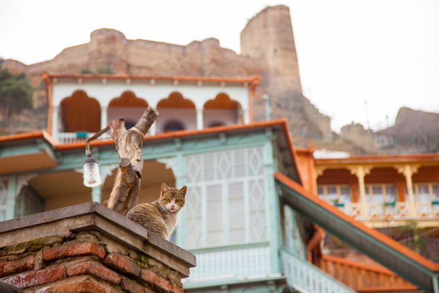 Виды История религии и монастырей, происхождение и архитектура старого Тбилиси