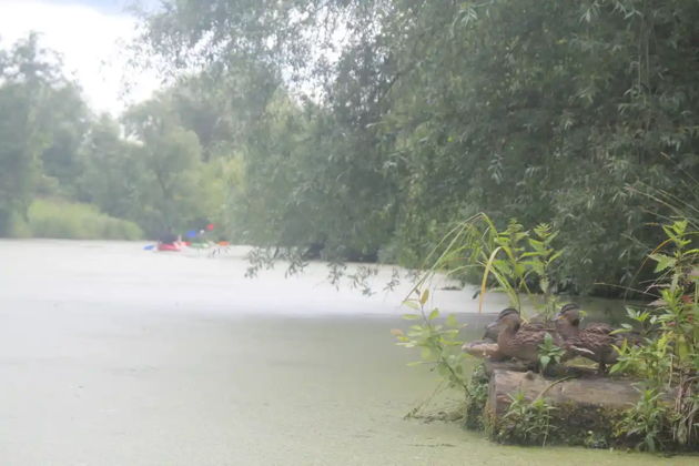 Виды На байдарках к усадьбе Архангельское и Лохину острову