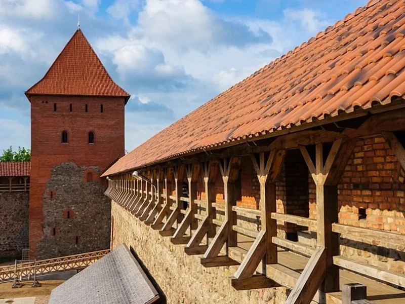 Ваш личный трансфер в Лидский замок с максимальным комфортом из Гродно — фото 4, Гродно | Покатаем