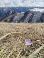 Экскурсия "На Джилы-Су в мини-группе: путешествие в русскую Исландию" - фото отзыва 3
