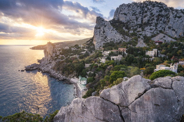 Виды  Разгадка Глицинии: прощание под синим дождем