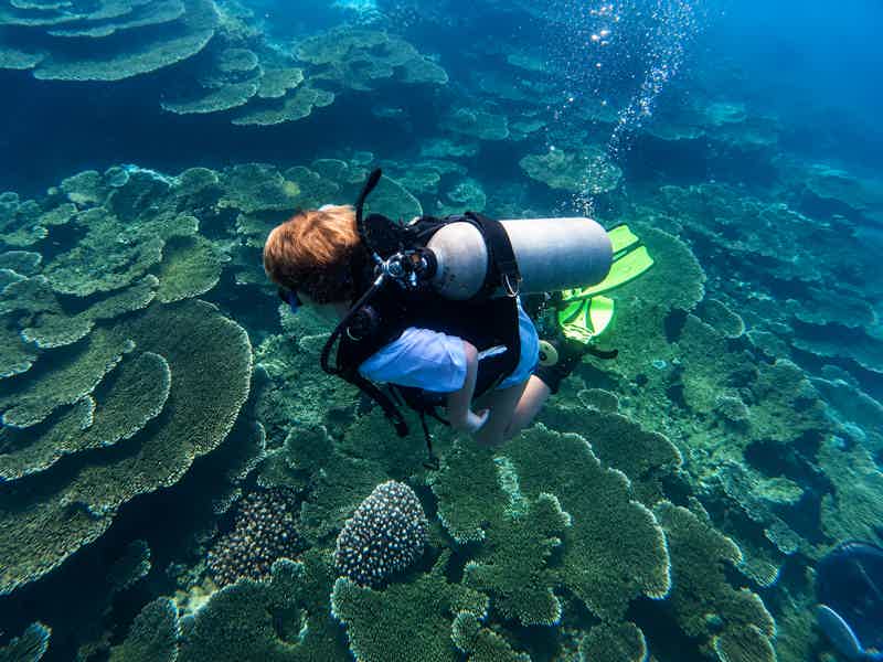 Дайвинг: подводное приключение на островах Крам - фото 2