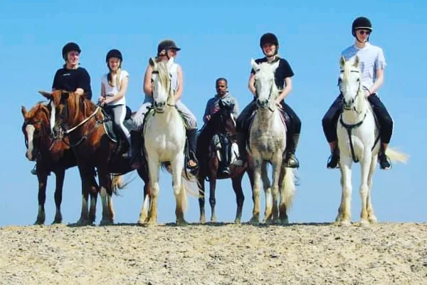 Horseriding in Hurghada — photo 4, Hurghada | Pokataem