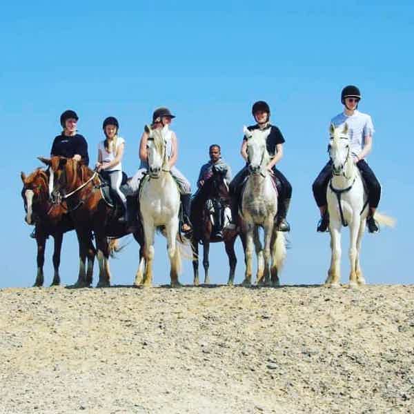 Прогулки на лошадях в Хургаде для новичков и опытых всадников - фото 3