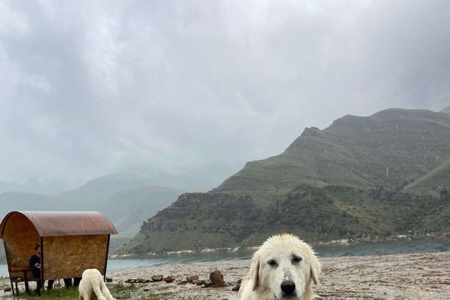 Виды Экскурсия на Эльбрус 