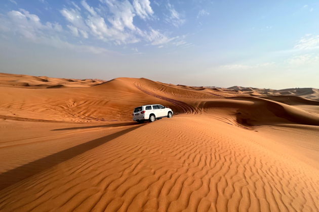 Виды Сафари по пустыне Хатта и сад медоносных пчёл