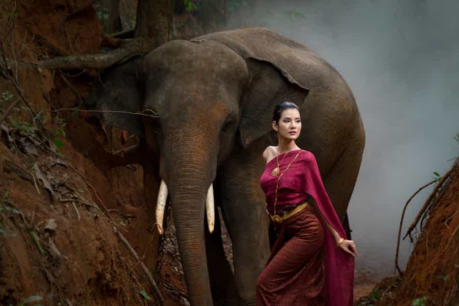 Приключение в джунглях Таиланда: фотосессия со слоном - фото 1