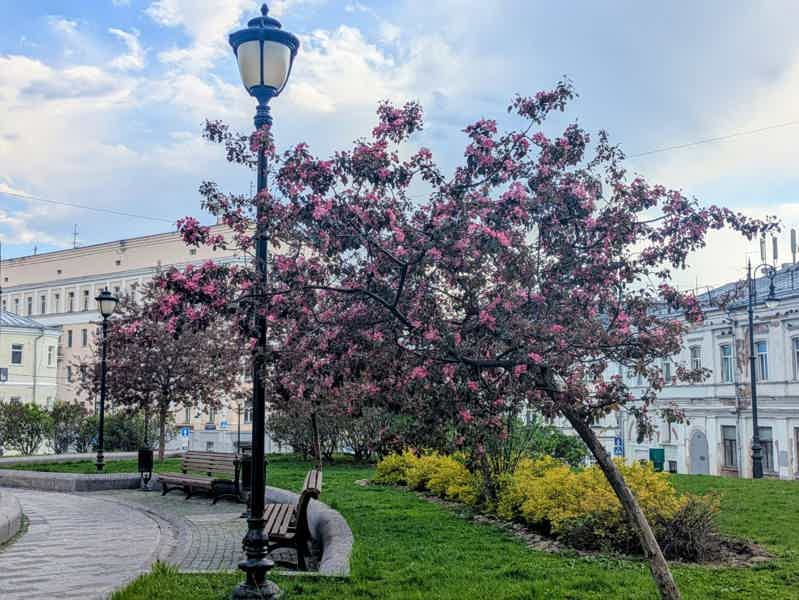Свидание со старой Москвой — дворики, переулки и истории города - фото 2