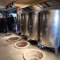 Экскурсия "Велисцихе: история кахетинского виноделия с винным музеем Numisi" - фото отзыва 3