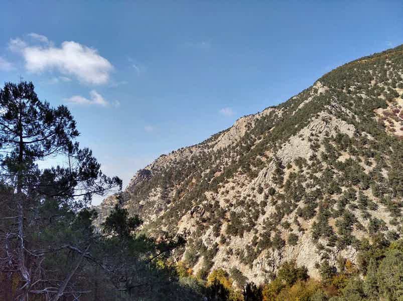 Изумрудный каньон и урочище Алсу: пеший поход с гидом - фото 4