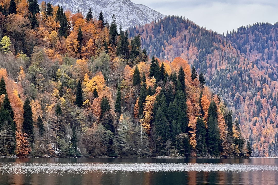 Путешествие по природным жемчужинам Абхазии (из Гагры и Пицунды) — фото 6