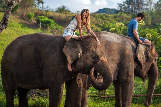 Сафари в национальном парке Као Лак + катание на слонах