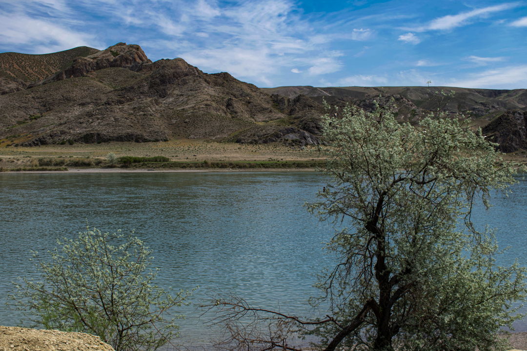 Замечательный купальный тур в теплое водохранилище Капшагай — фото 3