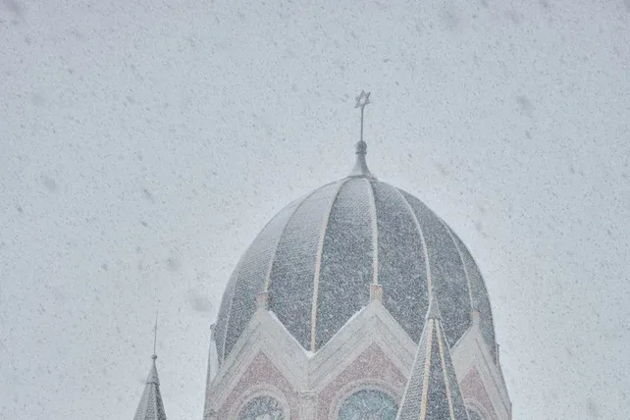 Виды Весь Калининград за 3 часа в мини-группе 