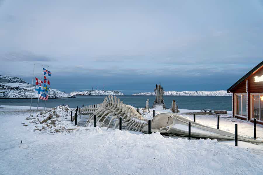Териберка — берег Северного Ледовитого океана  - фото 3