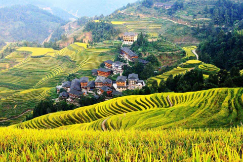 Рисовые террасы Лунцзи (Longji): хайкинг, деревни и локальная кухня