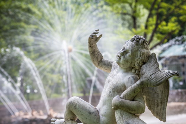 Виды Величие Петергофа: откройте для себя царскую резиденцию — билеты включены