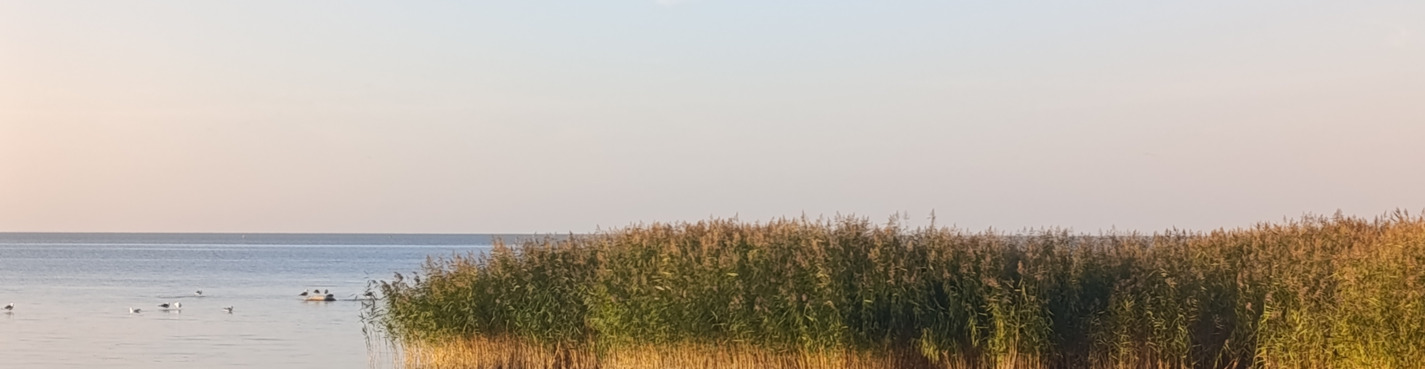 Балтийское побережье: Куршская коса, Светлогорск, Зеленоградск
