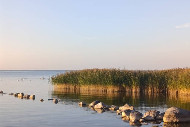 Балтийское побережье: Куршская коса, Светлогорск, Зеленоградск