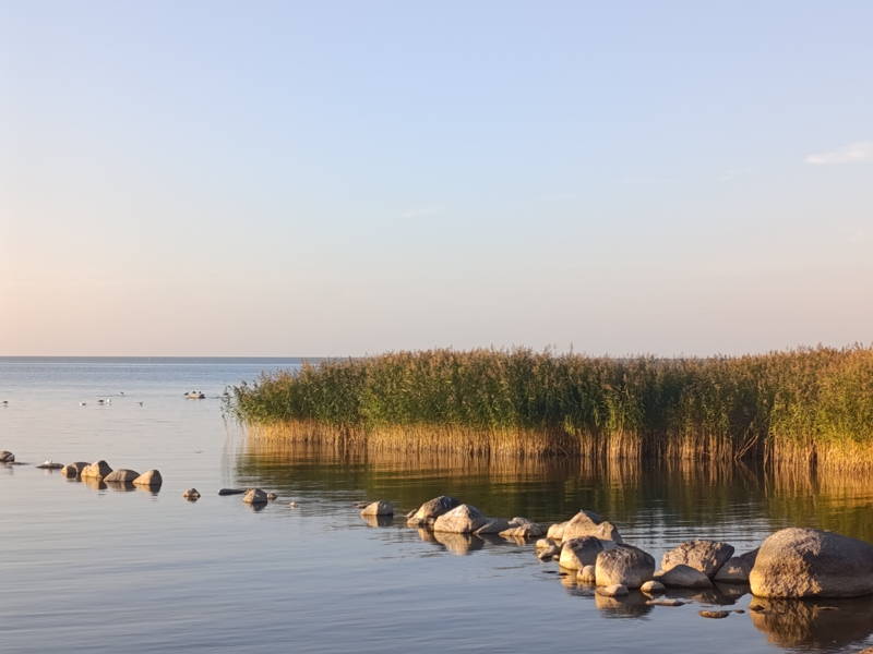 Балтийское побережье: Куршская коса, Светлогорск, Зеленоградск