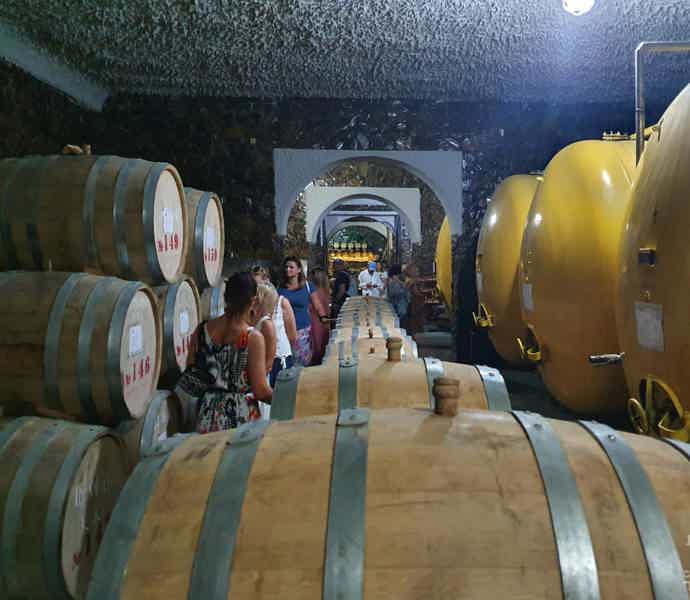 Экскурсия на винзавод «Багизаган» и дегустация вин - фото 4