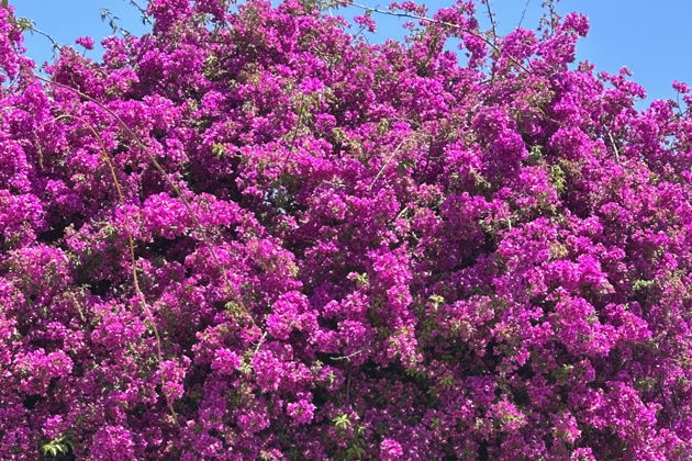 Прогулка по Лиссабону с посещением статуя Христа