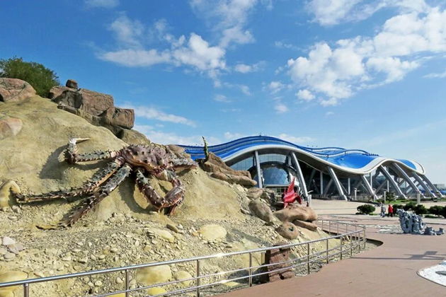 Виды Экскурсия в Приморский океанариум