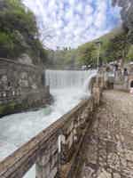 Экскурсия "Гранд-тур Абхазия: Гагра, Мандариновый сад, Рица и Новый Афон" - фото отзыва 1