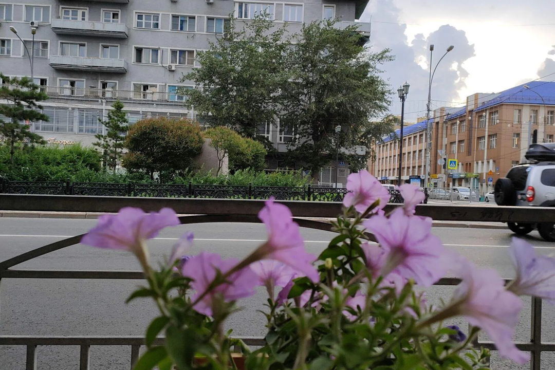 Экскурсия по Новосибирску: от истории до современности — фото 7