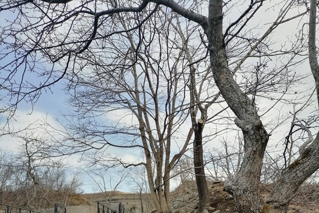 Виды Знакомство с Владивостоком