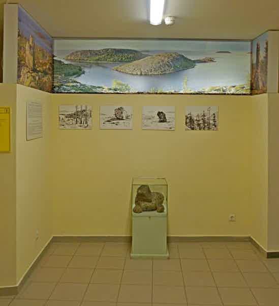 Национальный музей Республики Карелия: аудиоэкскурсия из века в век - фото 6