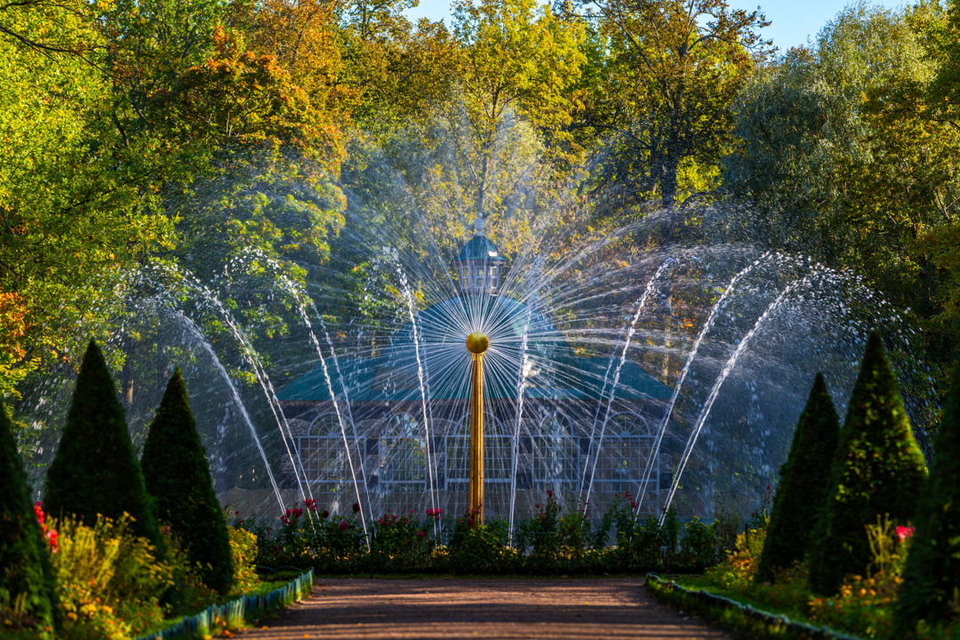 Роскошные залы Большого дворца: автобусная экскурсия в Петергоф — фото 2