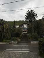 Экскурсия "Абхазия — страна души: Гагра, Рица, Новый Афон" - фото отзыва 5