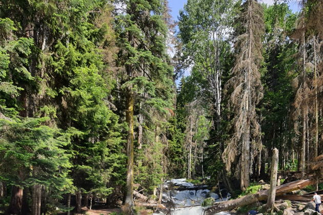 Виды Встречи с чудесами Кавказа l